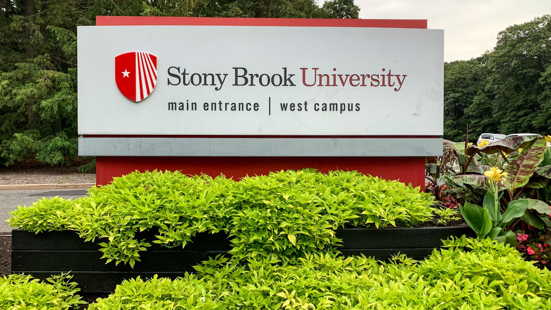 File:Stony Brook University Main Entrance West Campus sign.jpg