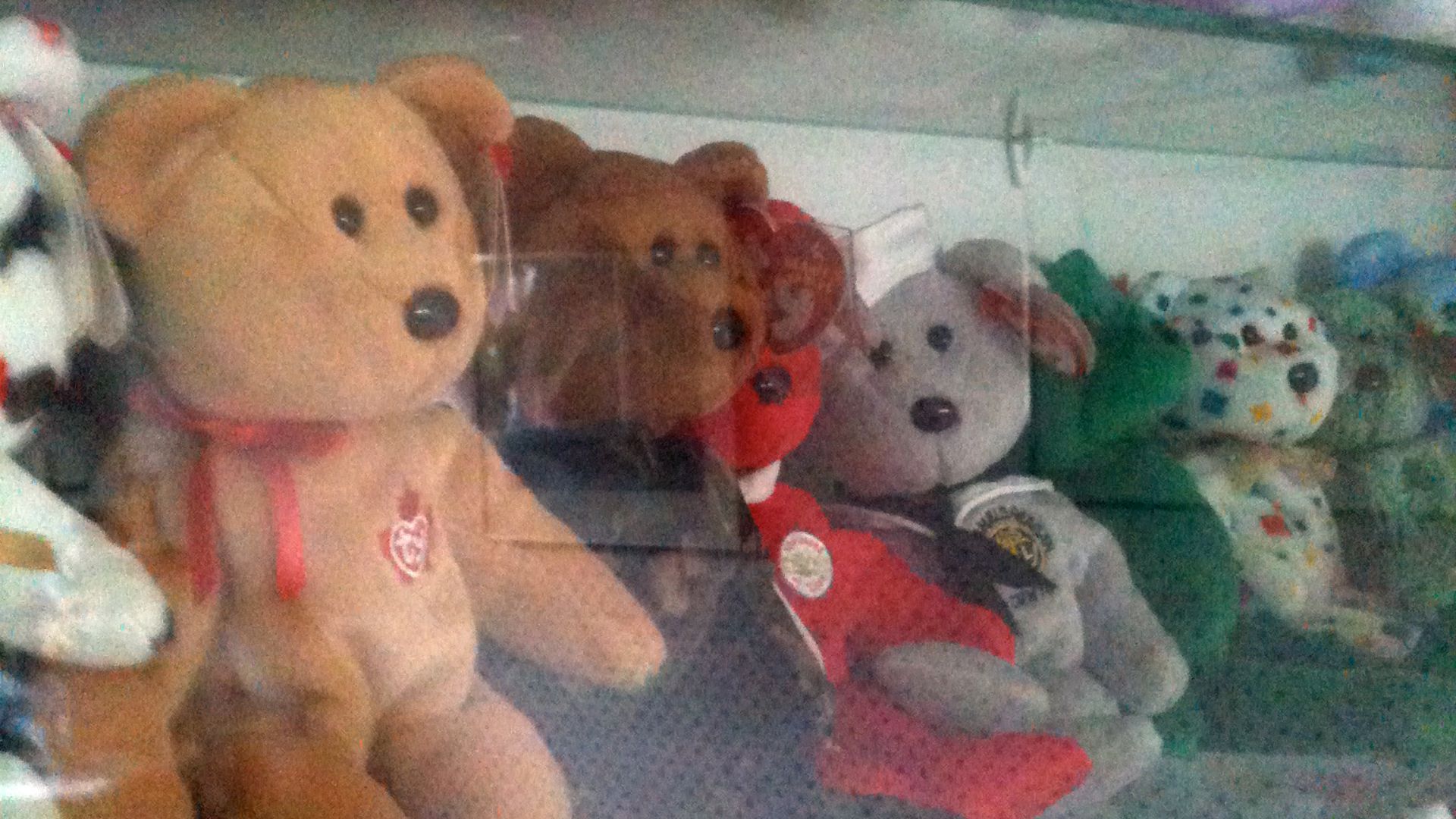 File:Mom's Beanies (9120344523).jpg