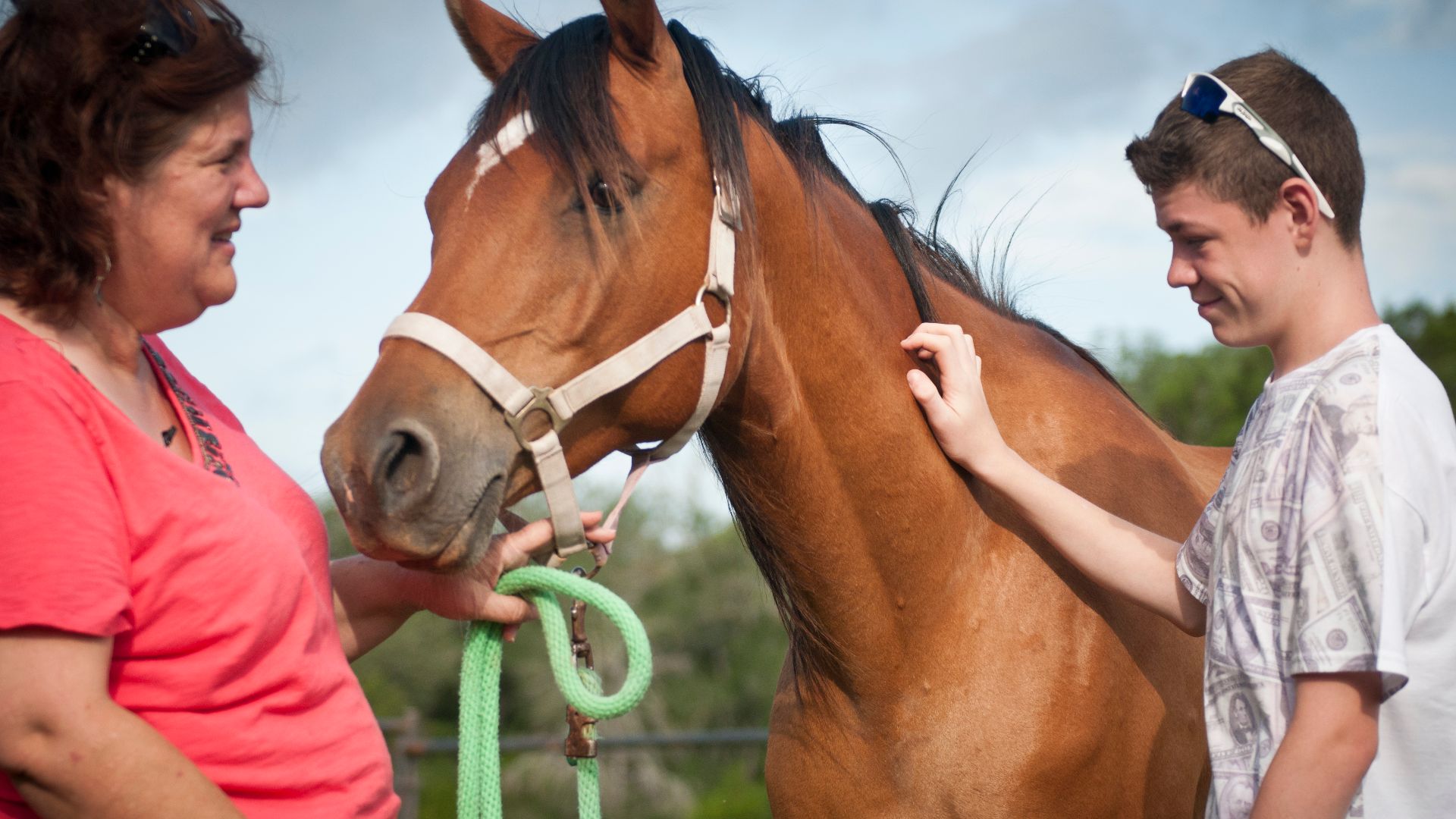 File:STAR Healing With Horses treats children with secondary PTSD 140617-A-ZU930-002.jpg