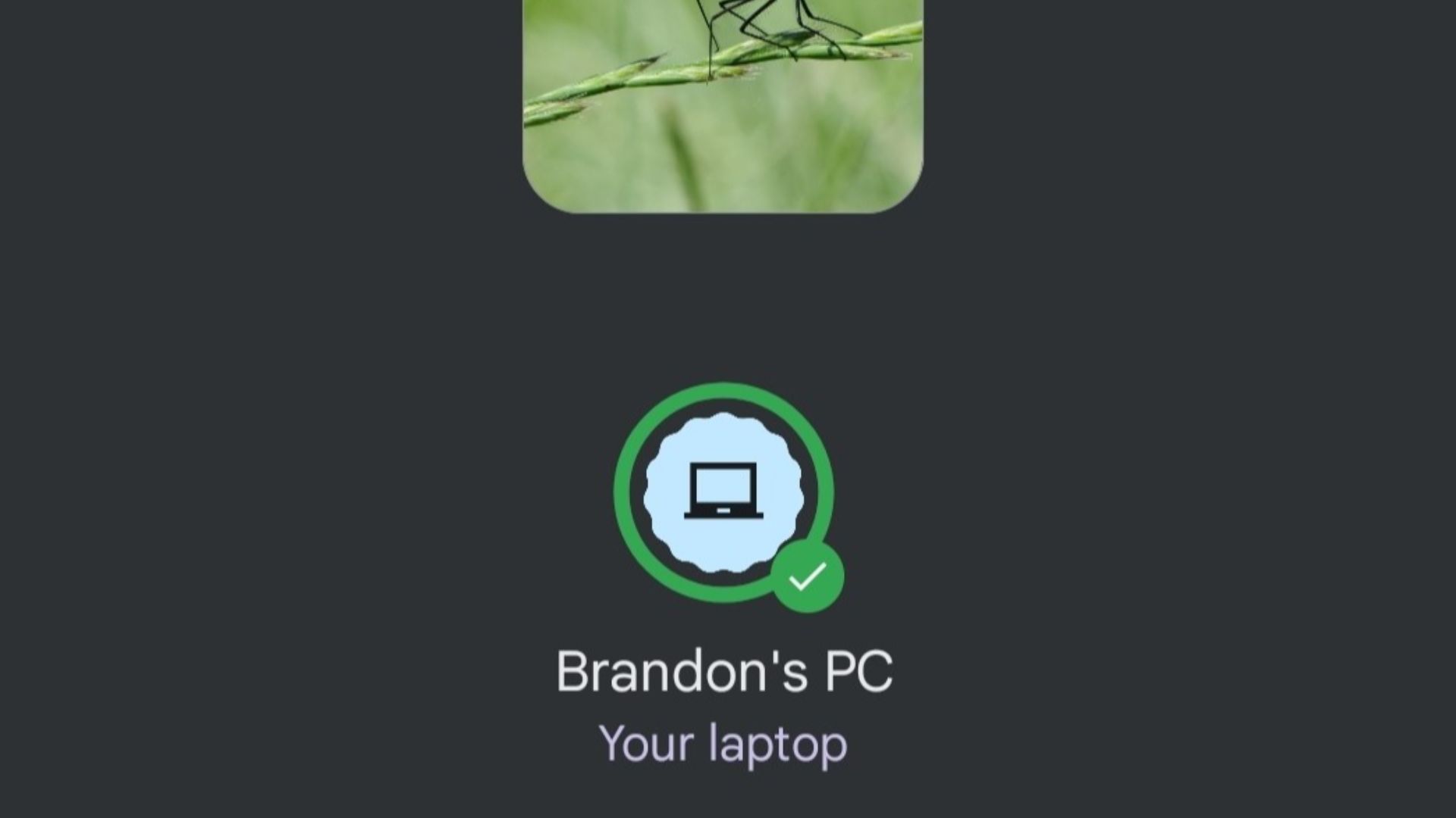 File:Nearby Share sent image.jpg