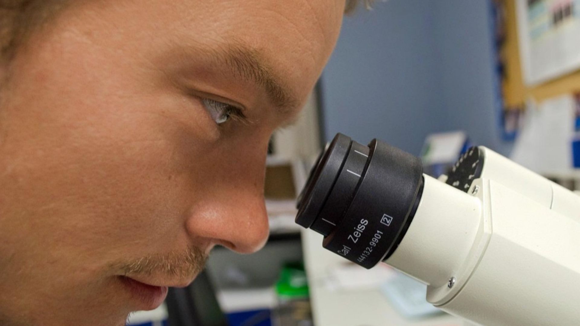 PublicDomainPictures