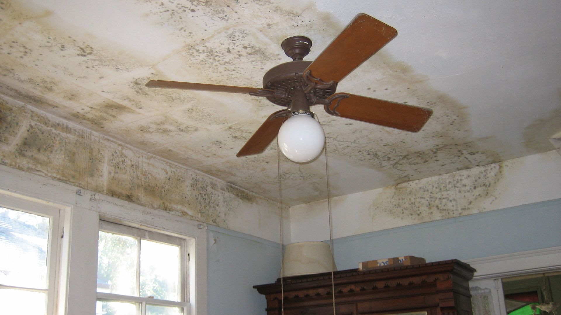 File:Mold on Ceiling on House on Dublin Street New Orleans after Katrina.jpg