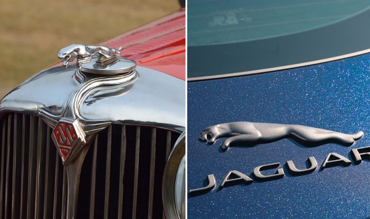 Jaguar then and now