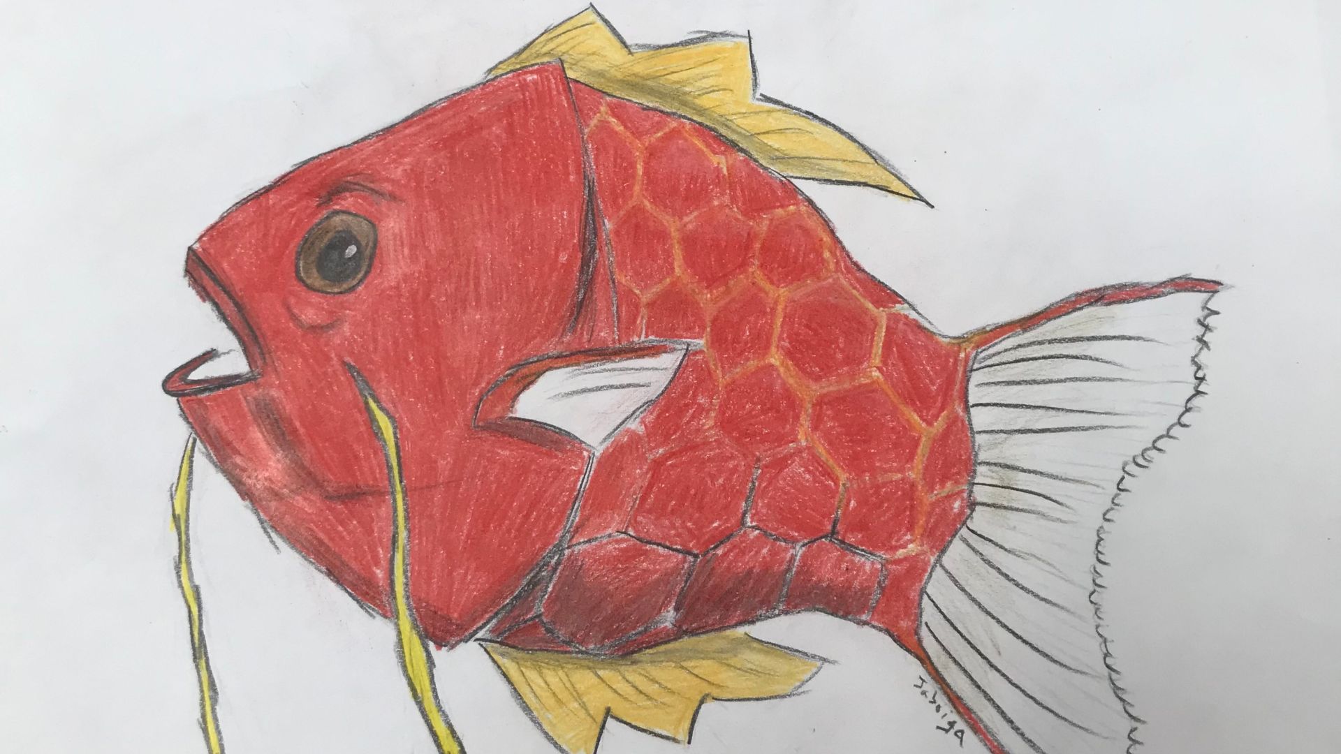 File:Realistic Magikarp.jpg