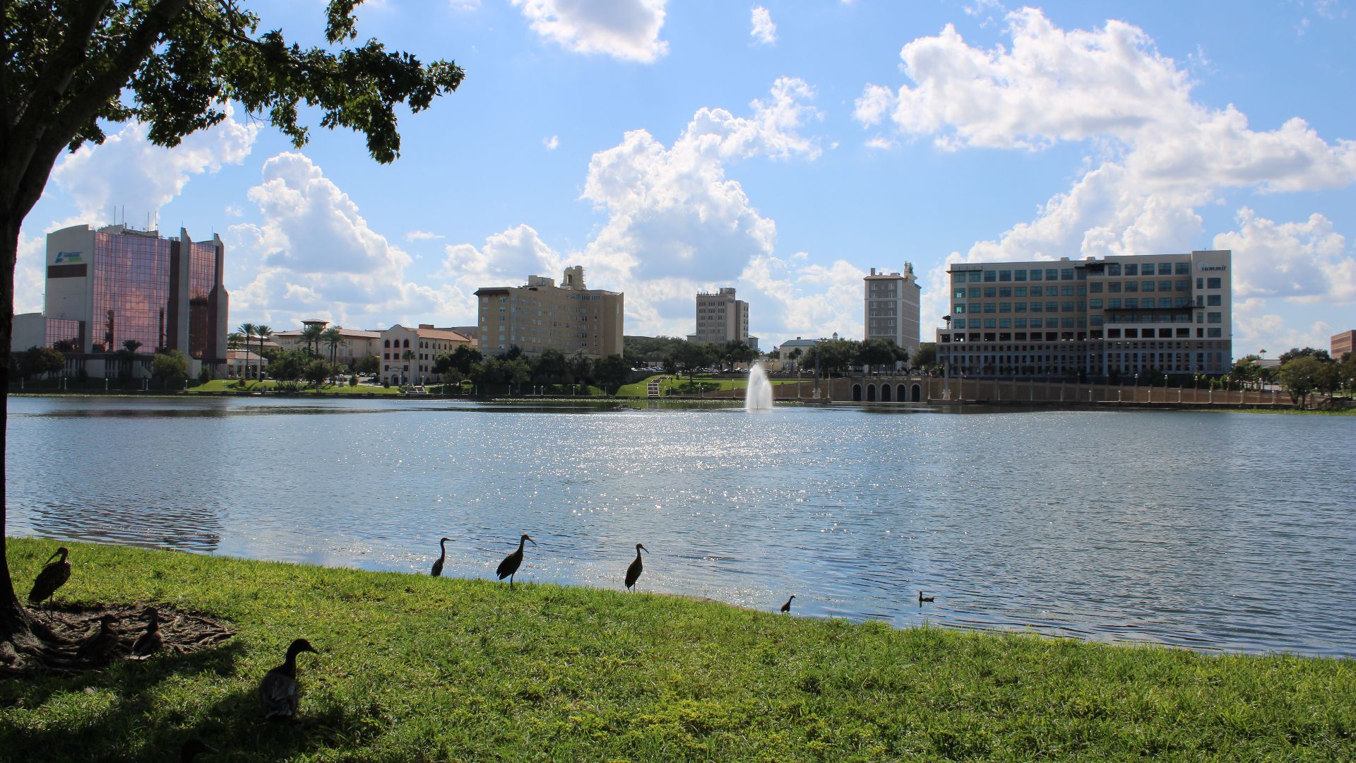 File:Lake Mirror Lakeland Florida September 2024.jpg