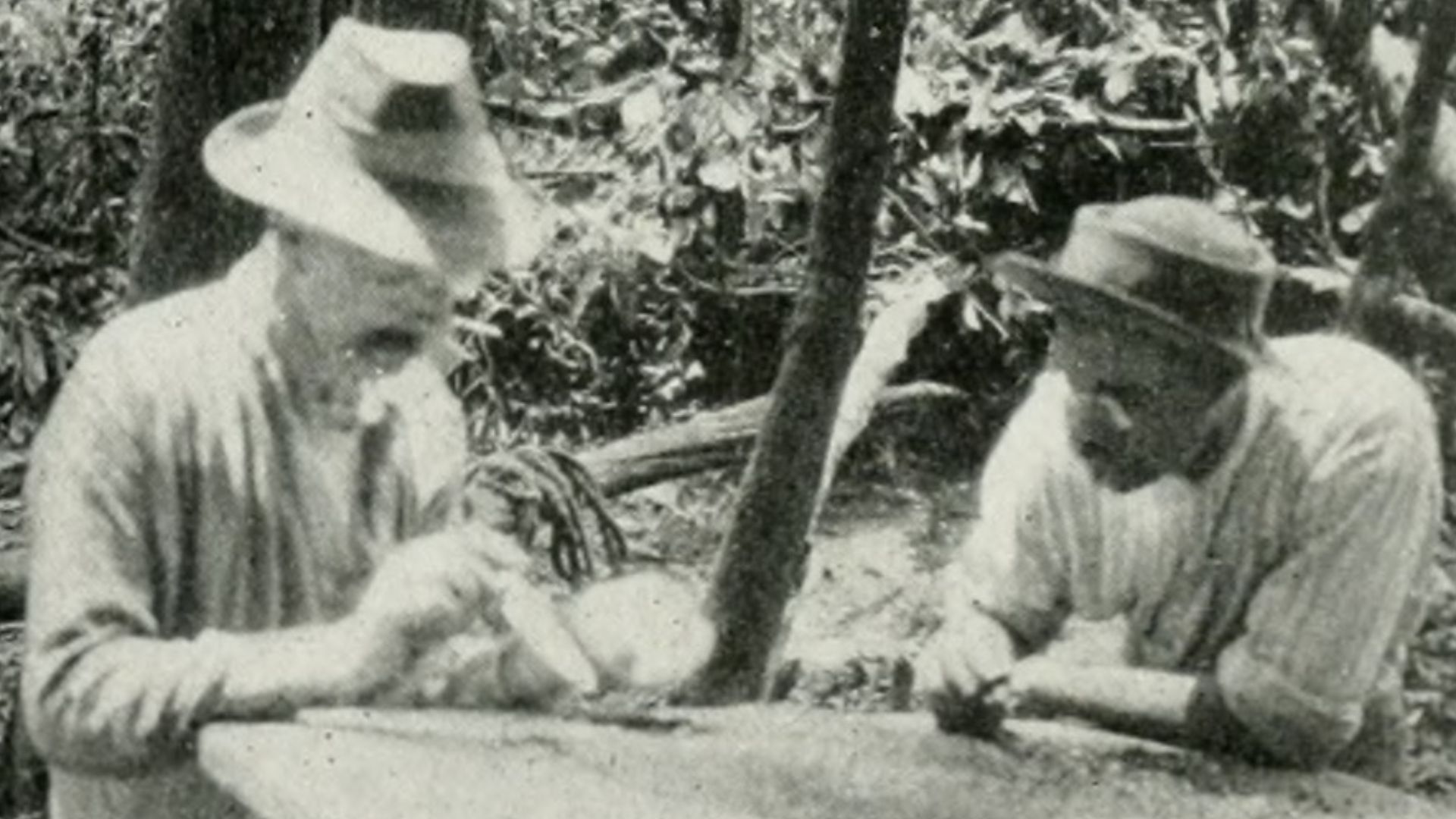 File:The American Museum journal (c1900-(1918)) (17975610829).jpg