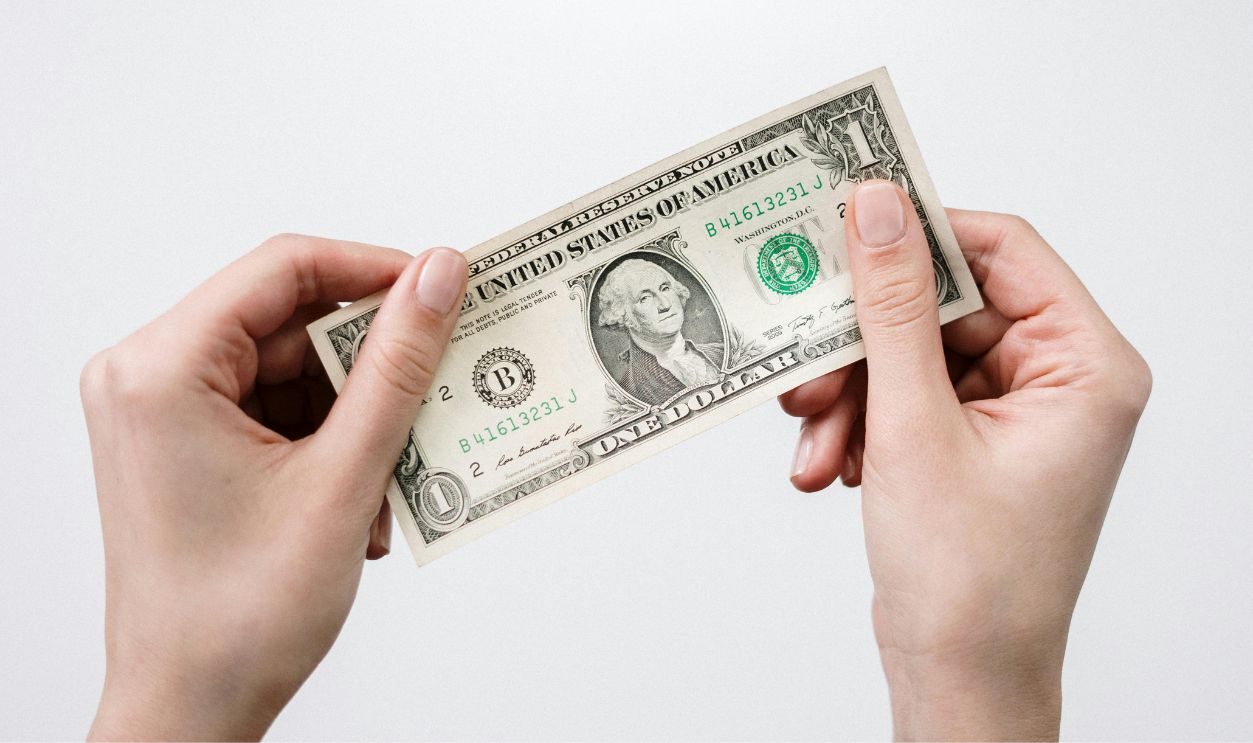 Examining a one dollar bill
