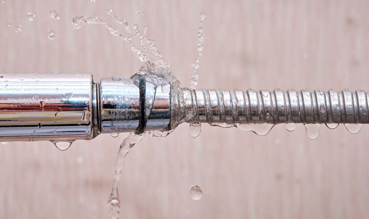 When The Neighbor Is Responsible