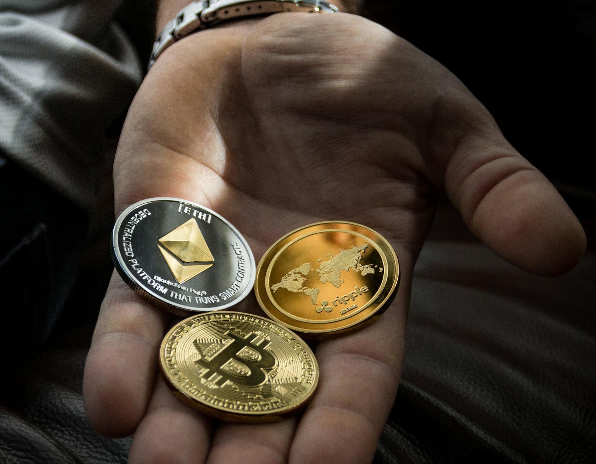 Investment concept photo