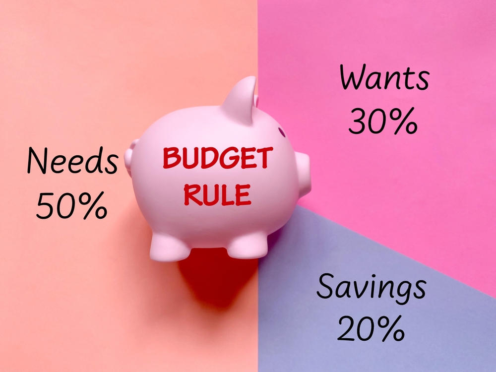 Ratio of 50% needs, 30% wants and 20% savings with piggy bank