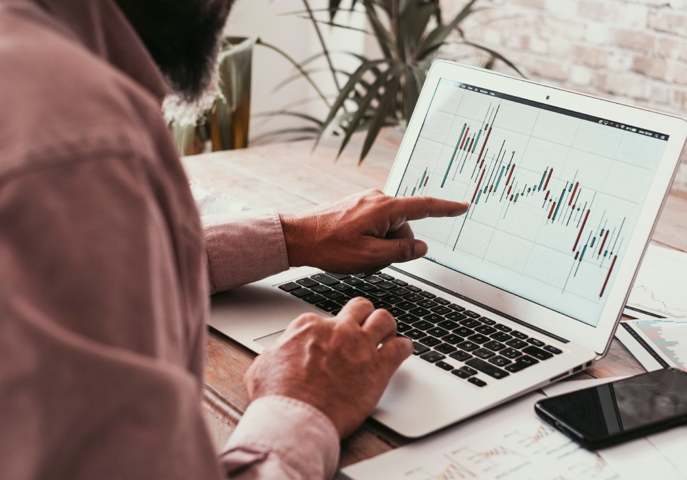 Back view of man reading forex chart on laptop display