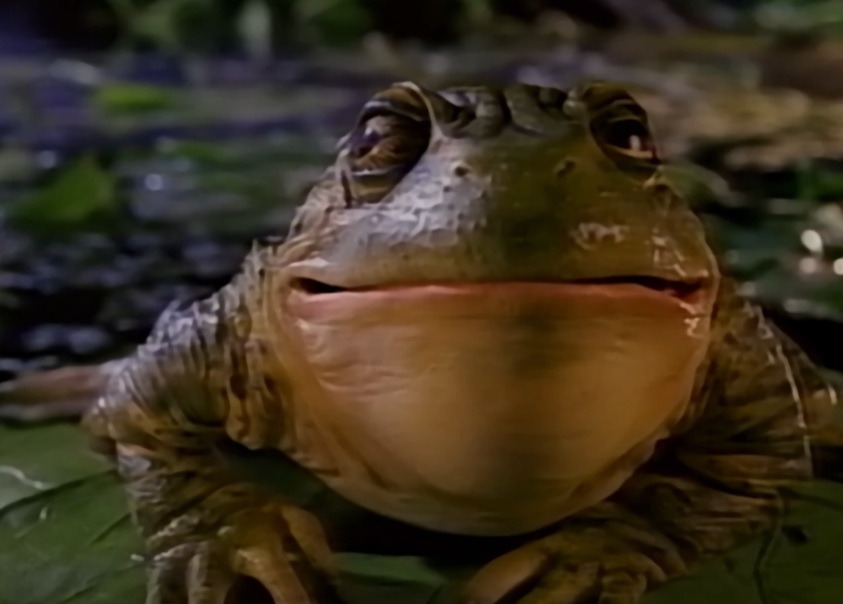 Budweiser: Budweiser Frogs (1995)