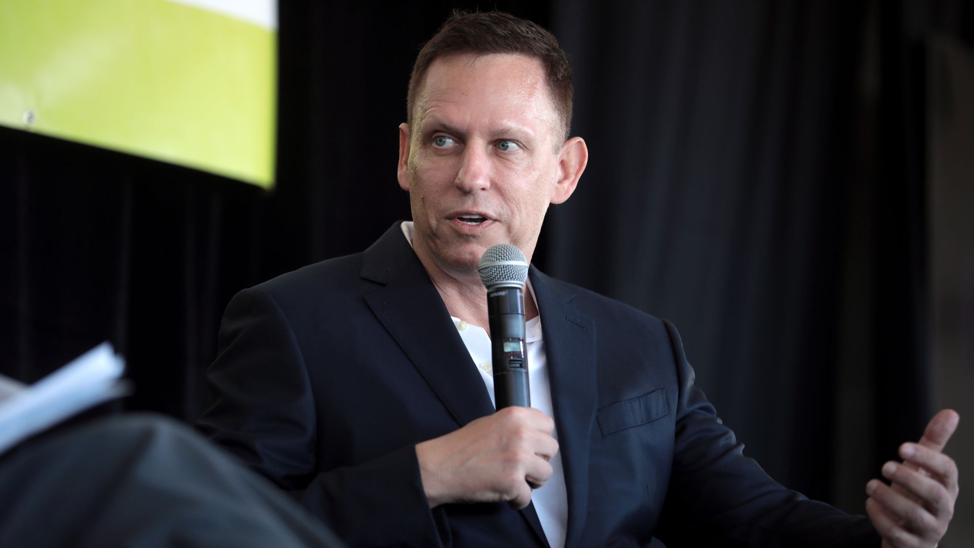 File:Peter Thiel (51876366008).jpg
