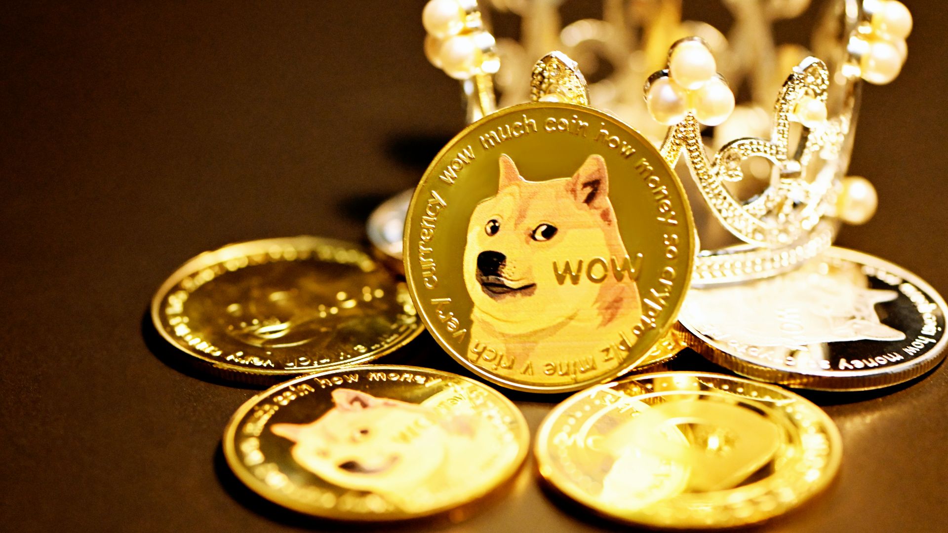 gold and white cat on round gold coins