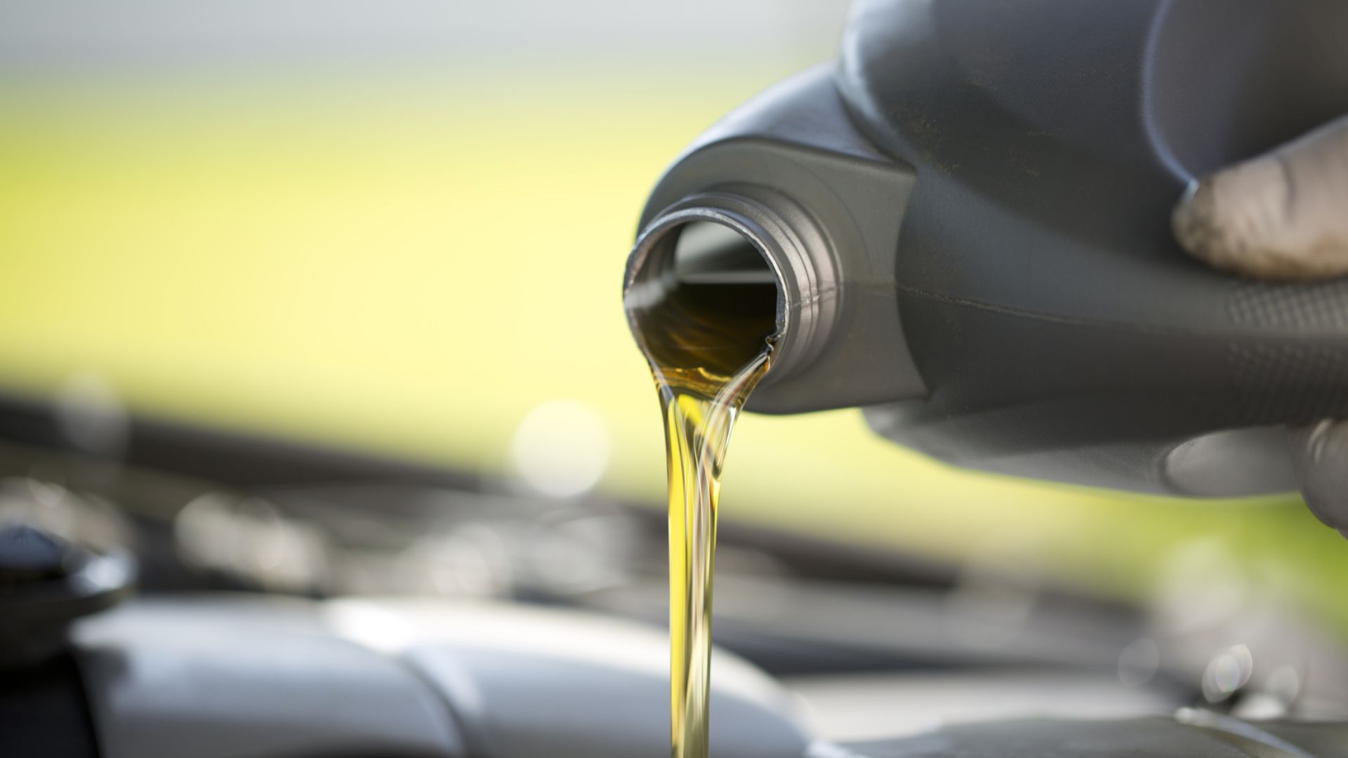 File:SIGAUS aceite.jpg