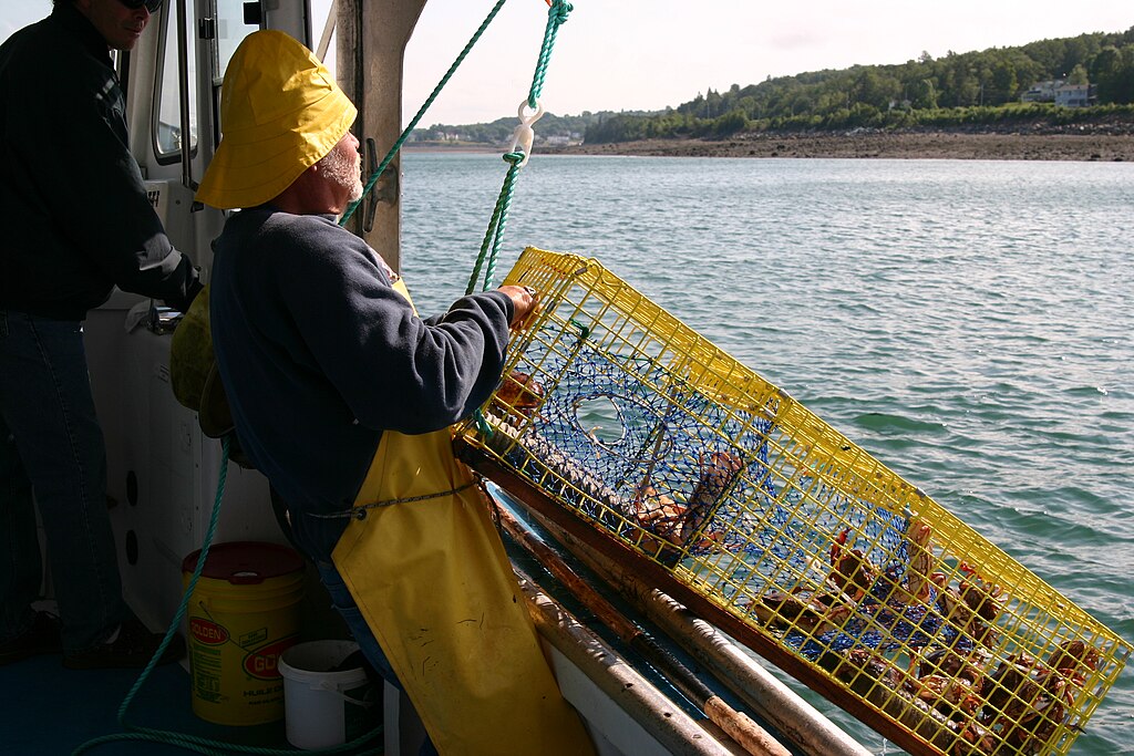 Catching Crabs at sea
