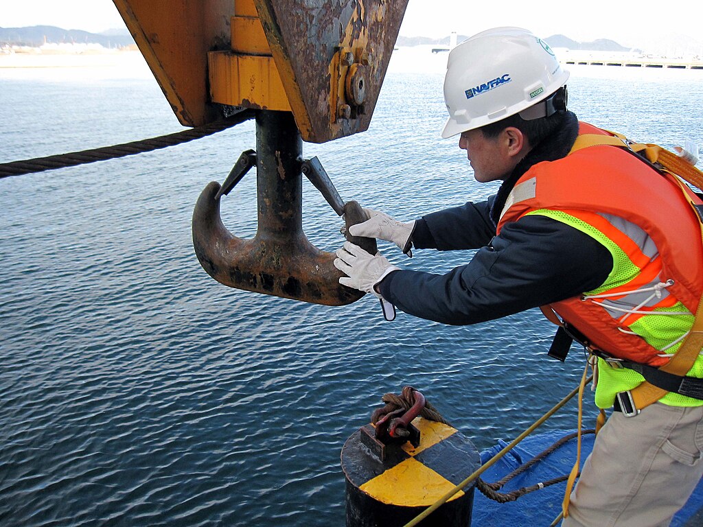 NFE Okinawa Iwakuni Crane