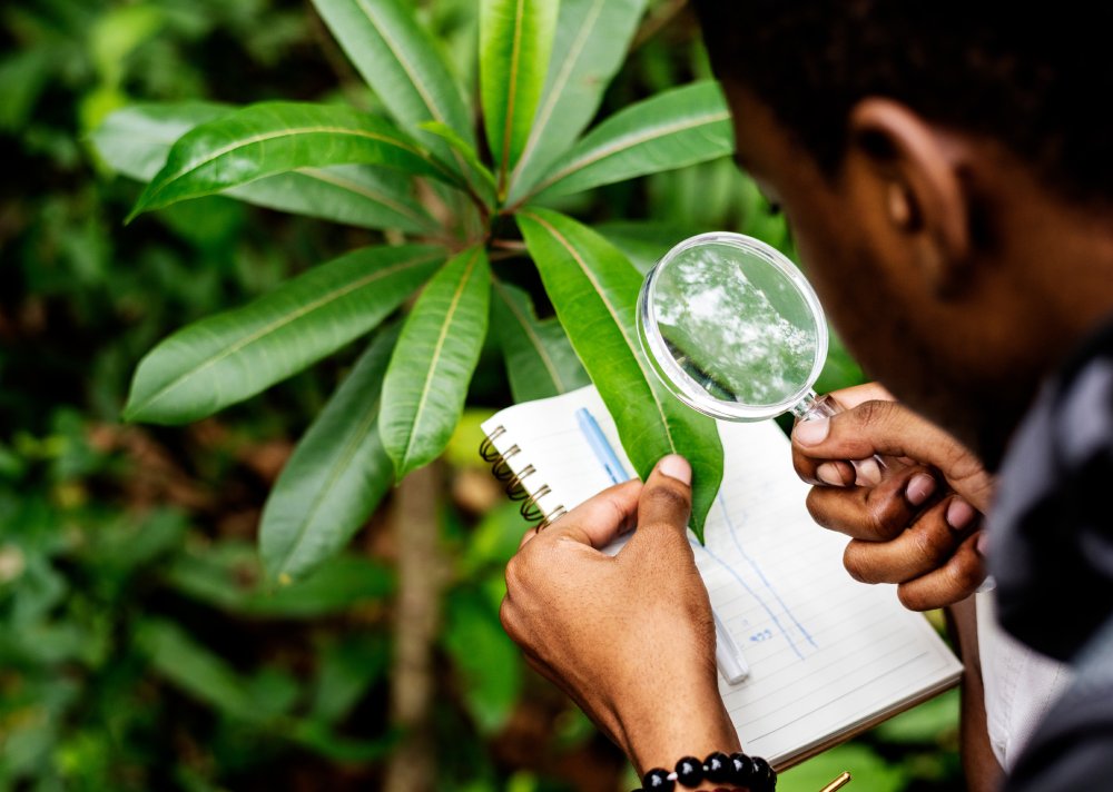 Portrait Photo of Biologist working in a forest environment