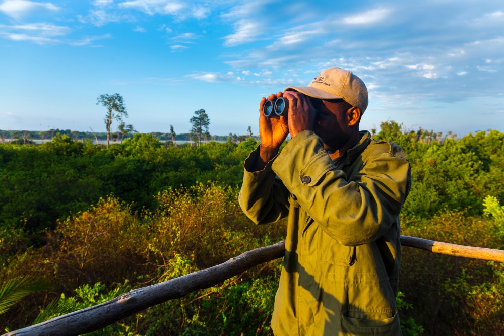 Portrait Photo of a Ranger Viewing from tower using binoculars
