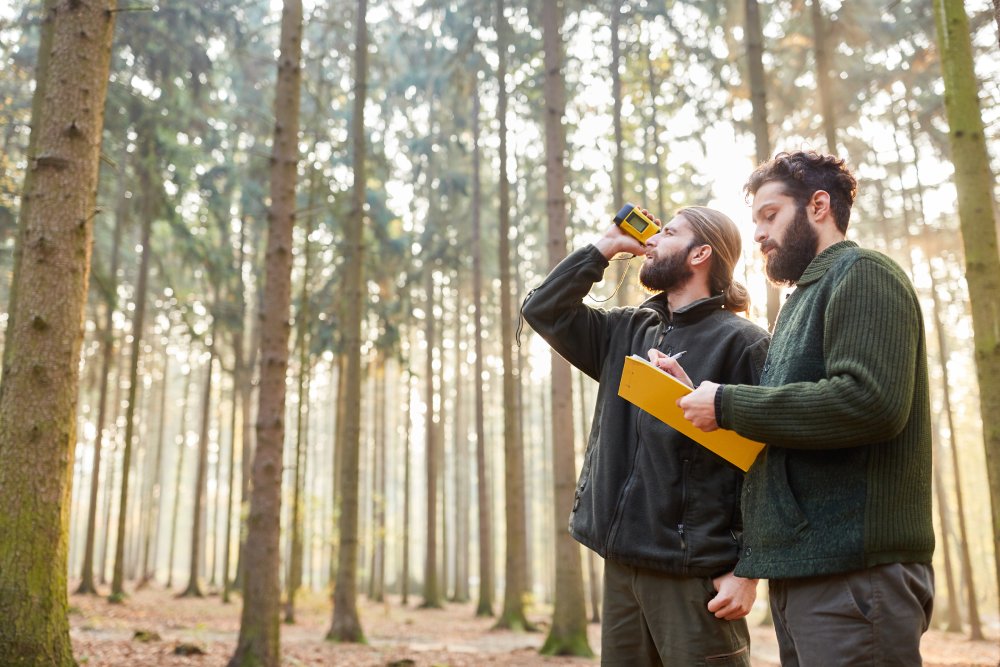 Portrait Photo of Foresters determine tree height with rangefinder