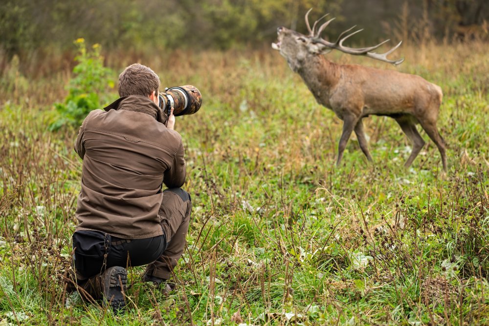 Young male wildlife photographer in brown cloths taking pictures