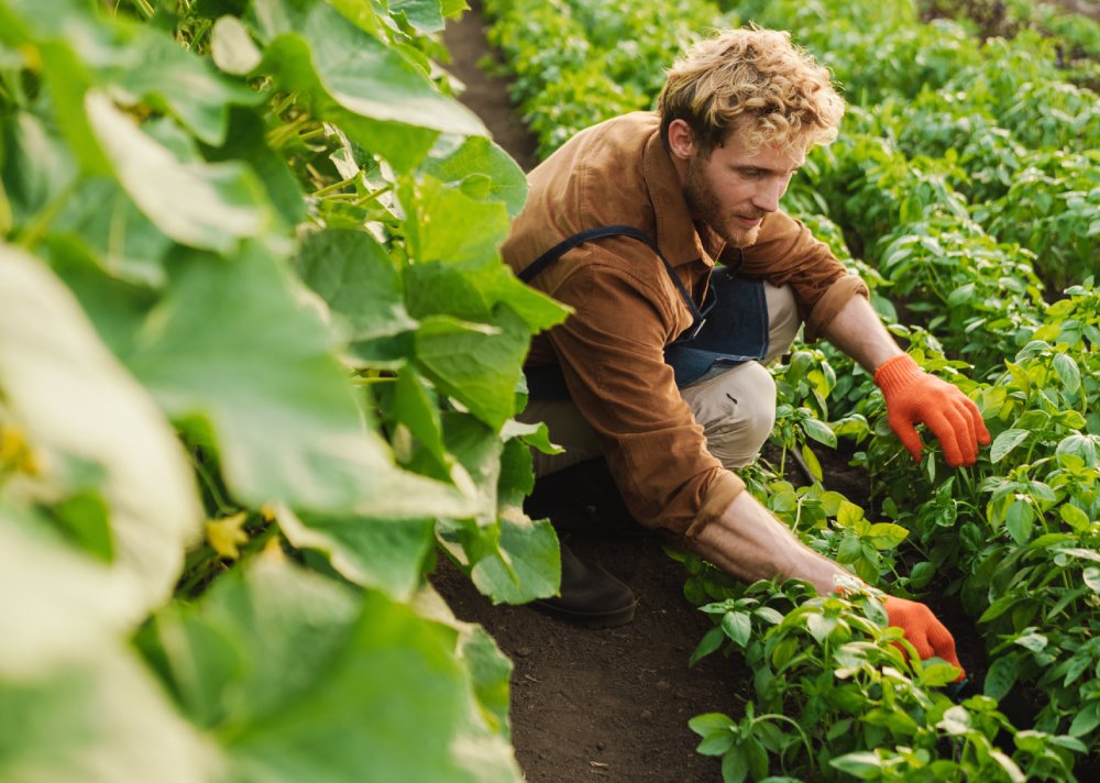 Portrait Photo of Smiling organic farmer standing in a greenhouse