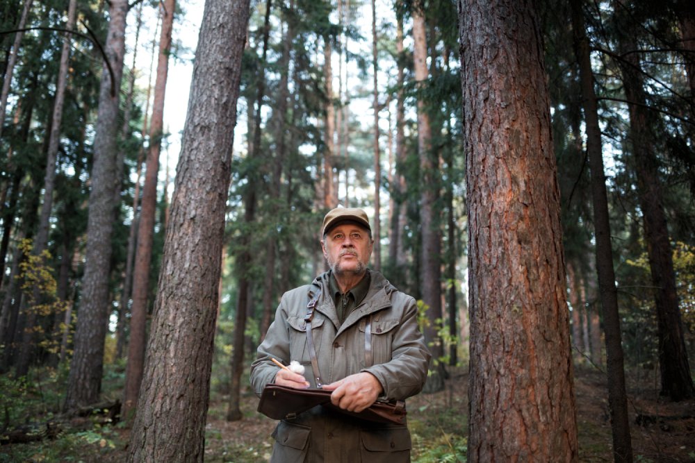 Portrait Photo of forester man conducts monitoring in pine national par