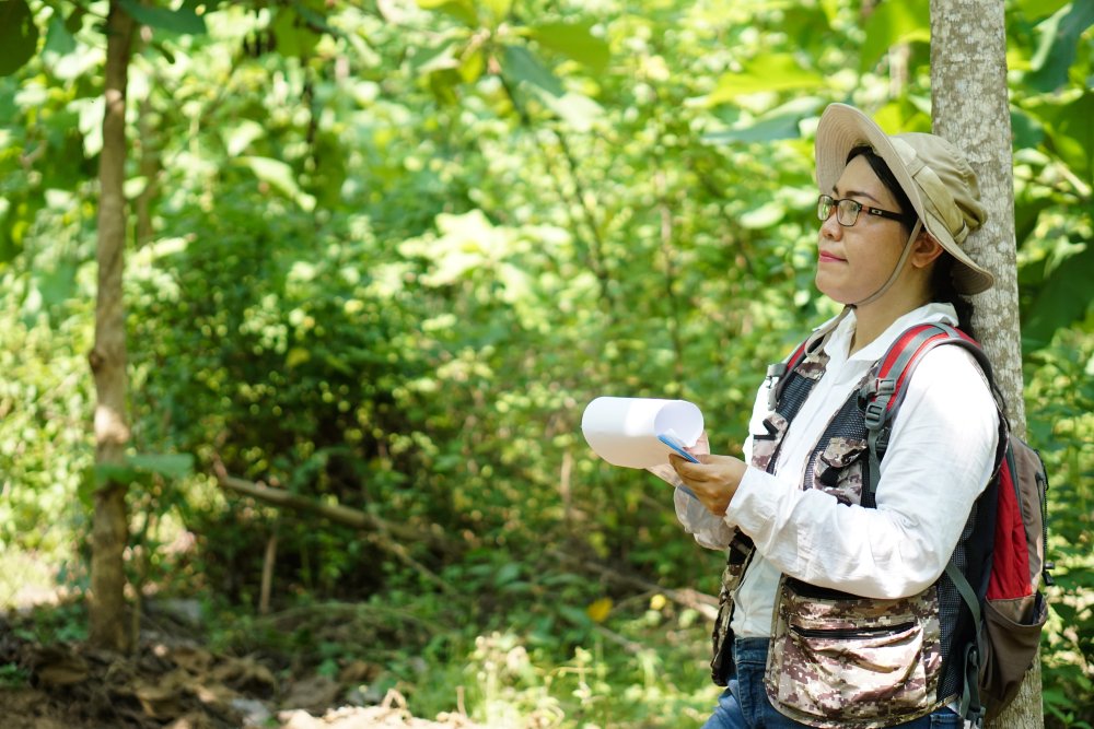 Asian woman botanist is at forest, hold paper notepad to survey botancal plants