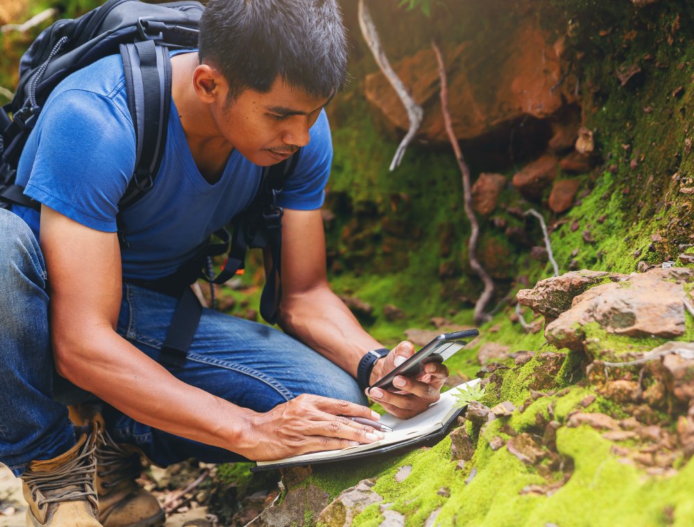 Botanist recording information about small tropical plants in forest