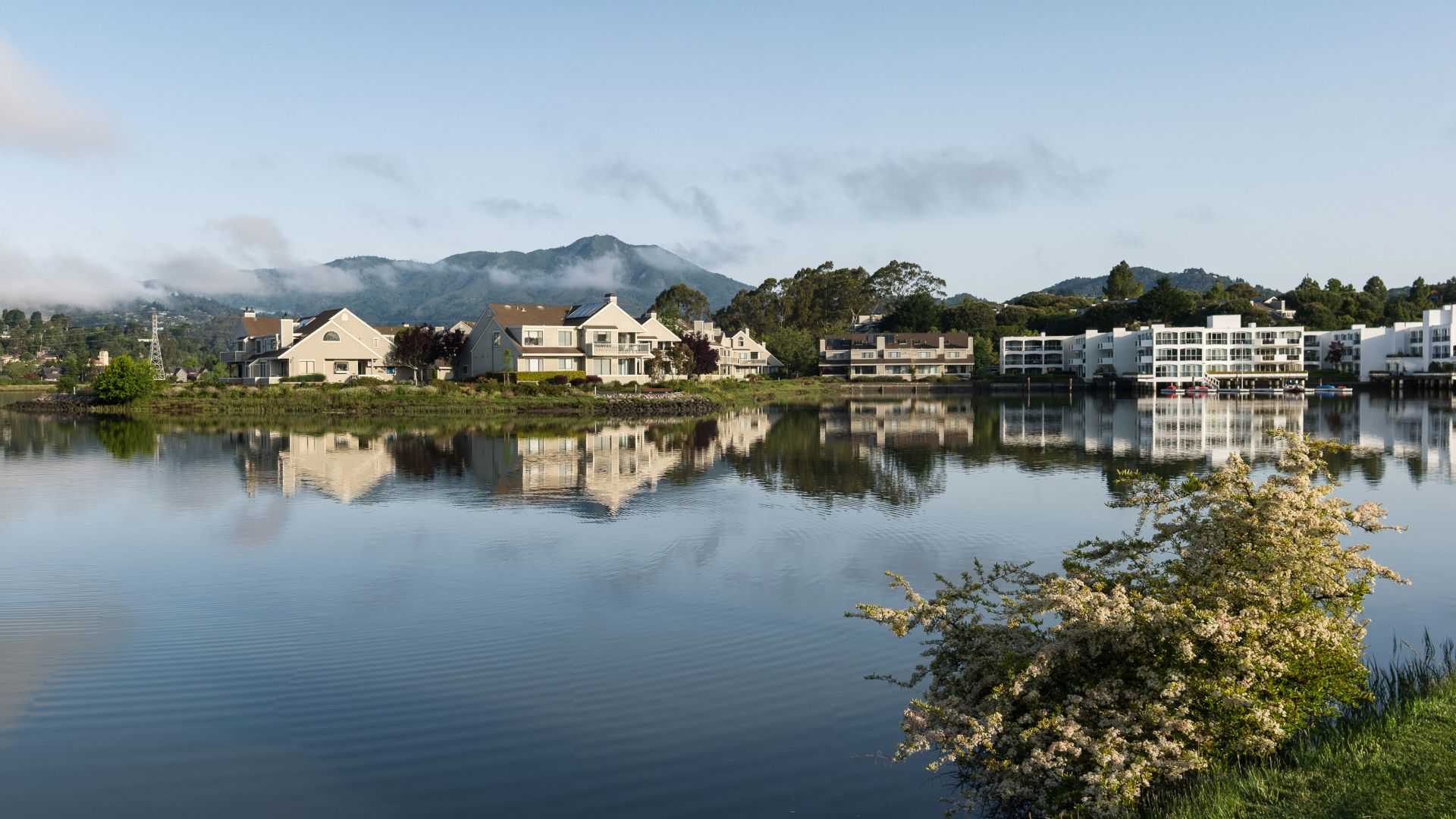 File:Early morning fog over Mill Valley (Panorama).jpg