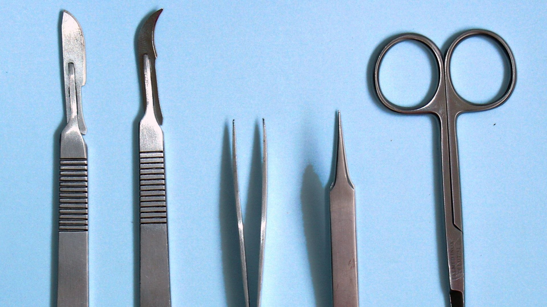 File:Dissection tools.jpg