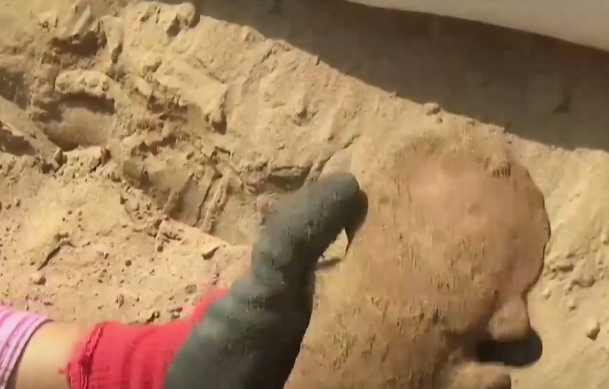 Egypt: Roman-era Buddha statue discovered, depicts ancient India-Egypt trade ties | WION