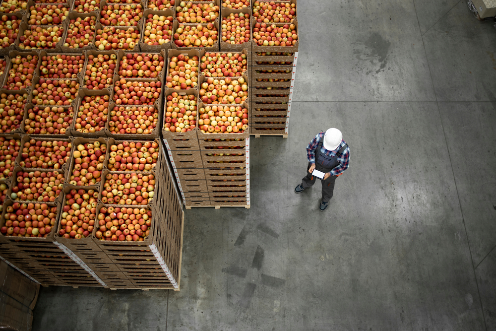 Top view of worker standing by apple fruit crates