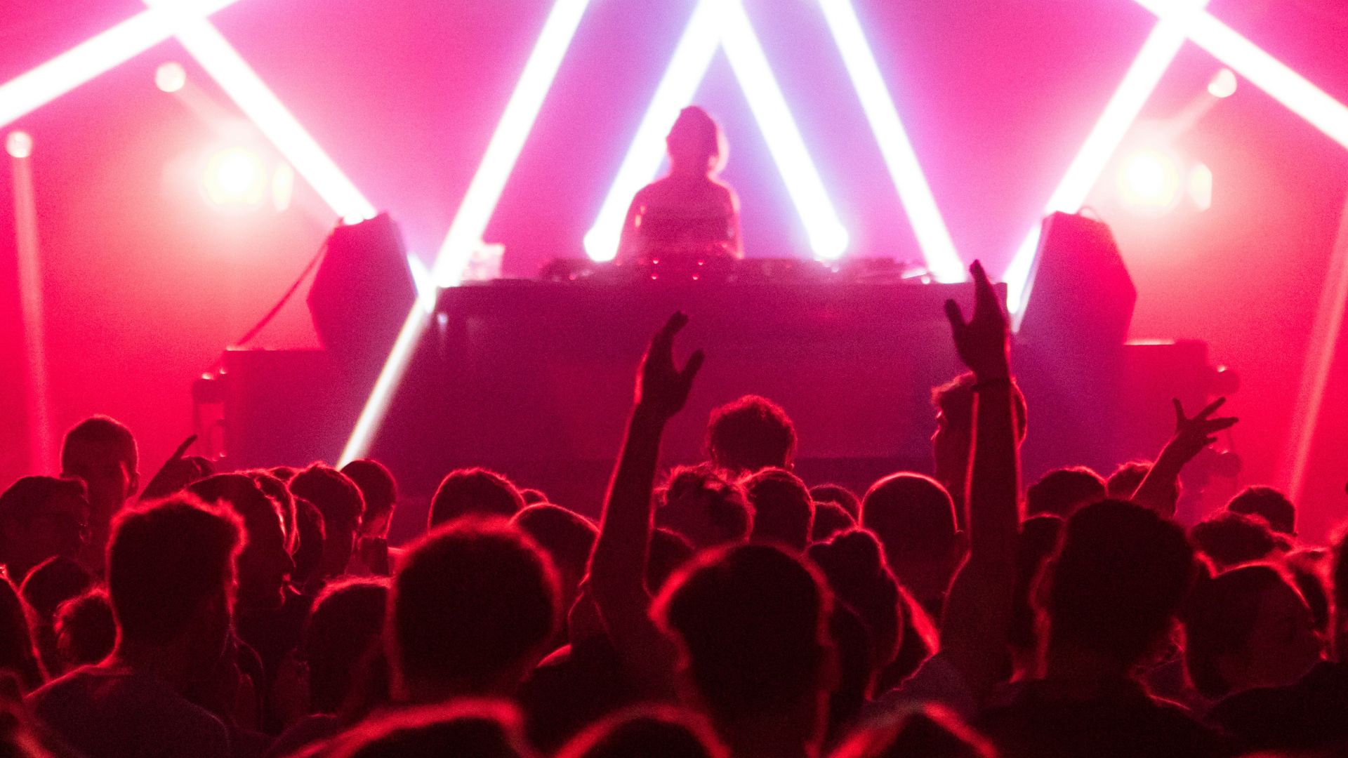 group of people enjoying concert