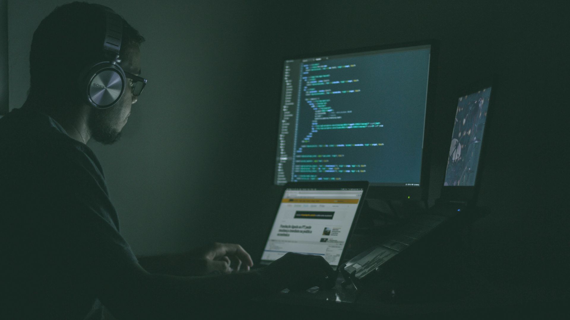 person using laptop computers