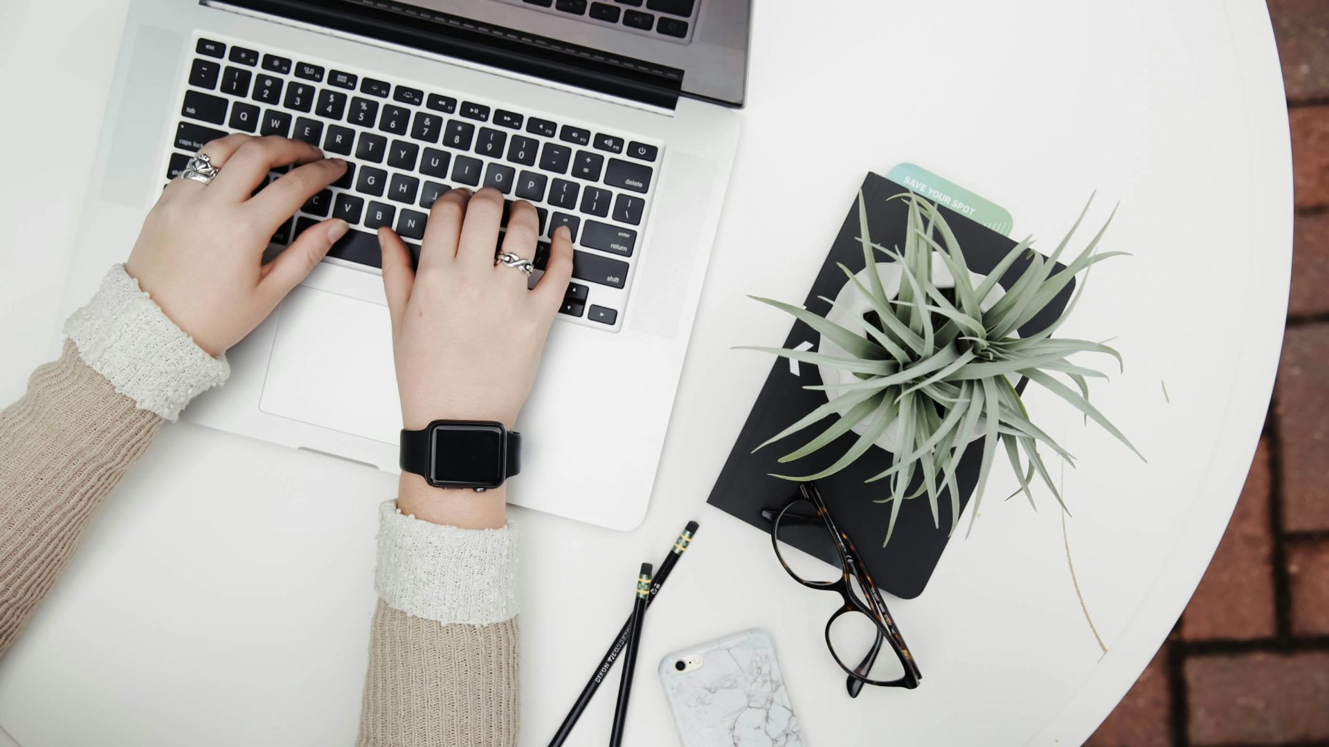 person using laptop computer beside aloe vera