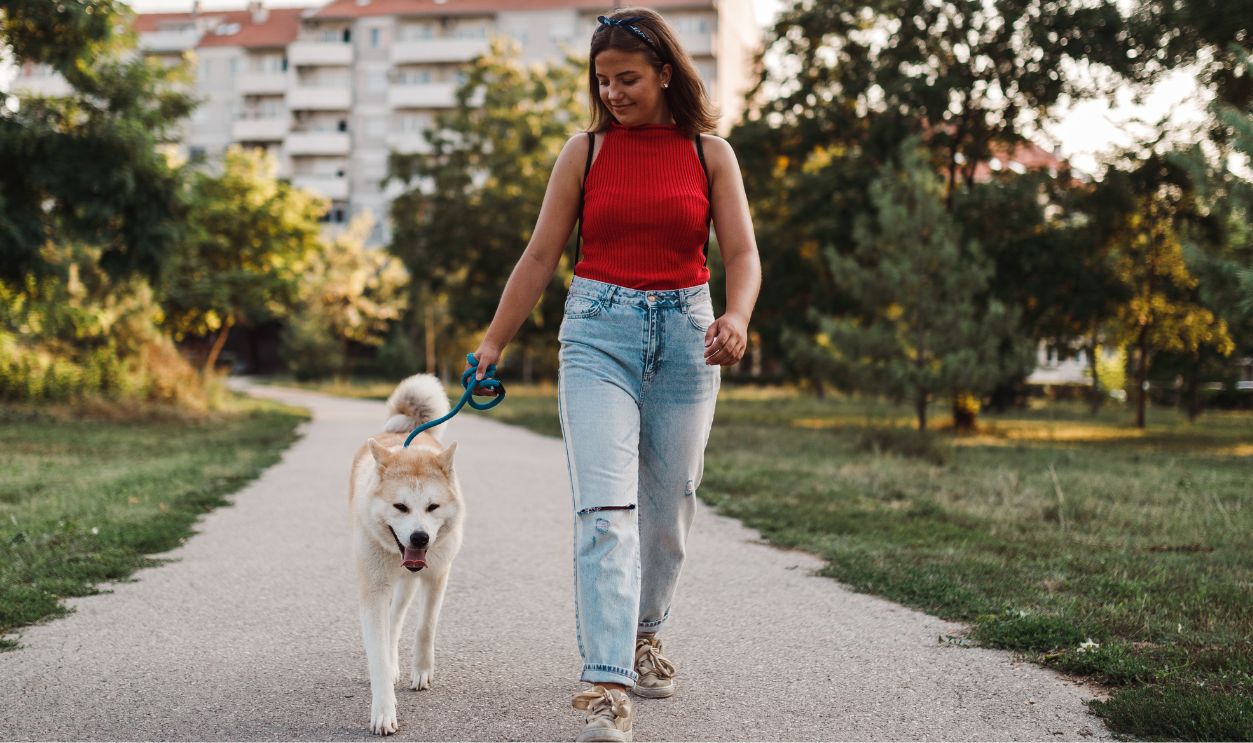 Happy teenage girl with Akita dog walking in the public park on a sunny summer day
