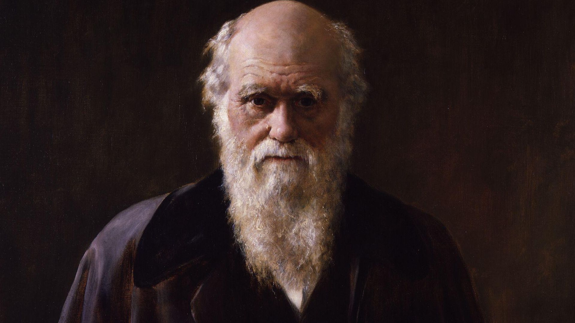 File:Charles Robert Darwin by John Collier.jpg