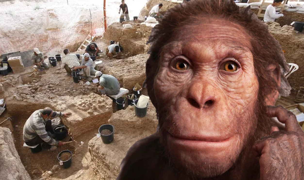 Rss Thumb - Nesher Ramla