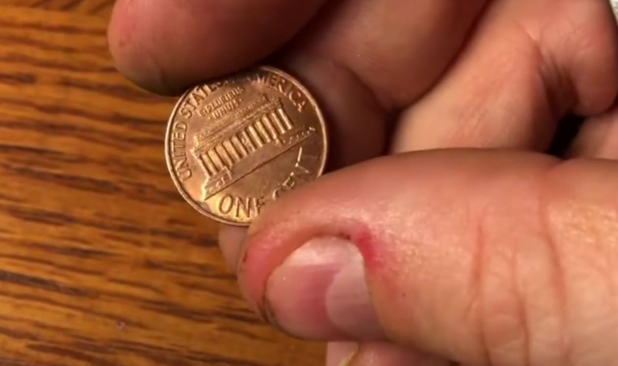 1960-D Small Date Lincoln Cent (Cont.)