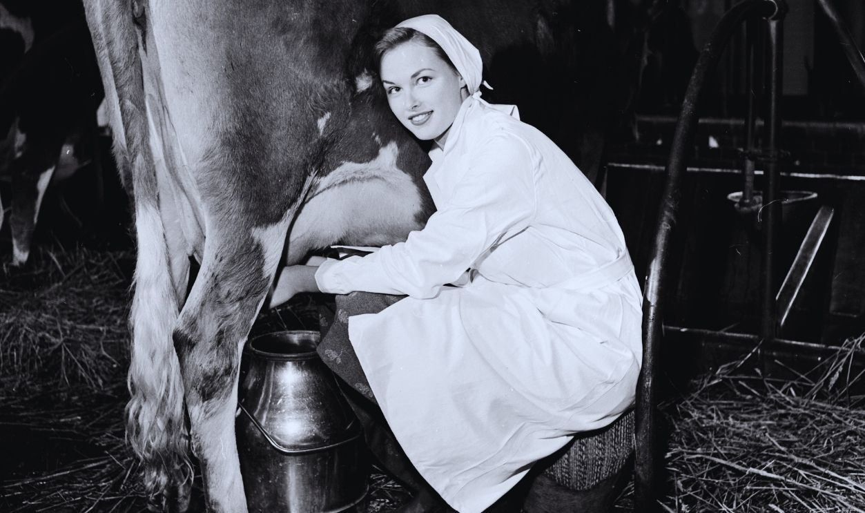 Gettyimages - 3435733, Milk Maid Queen February 1957: By day, 20-year-old Evelyn Clegg is employed as a Civil Servant in Whitehall, but she spends her evenings and weekends working at a dairy farm in Richmond. She was chosen to be Britain's Milk Maid Queen by the Milk Marketing Board, and is currently fronting their 'Drink More Milk' campaign.