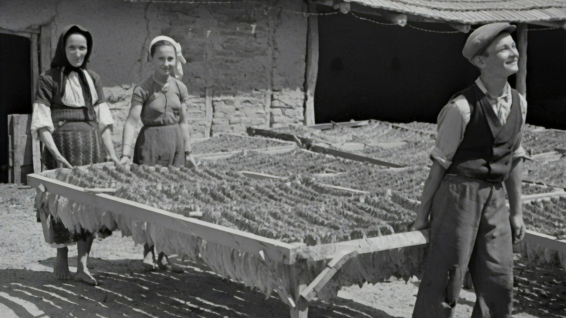 grayscale photo of man and woman standing on wooden fence