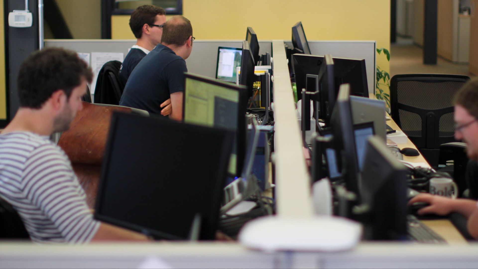 File:People Working At Wikimedia.jpg