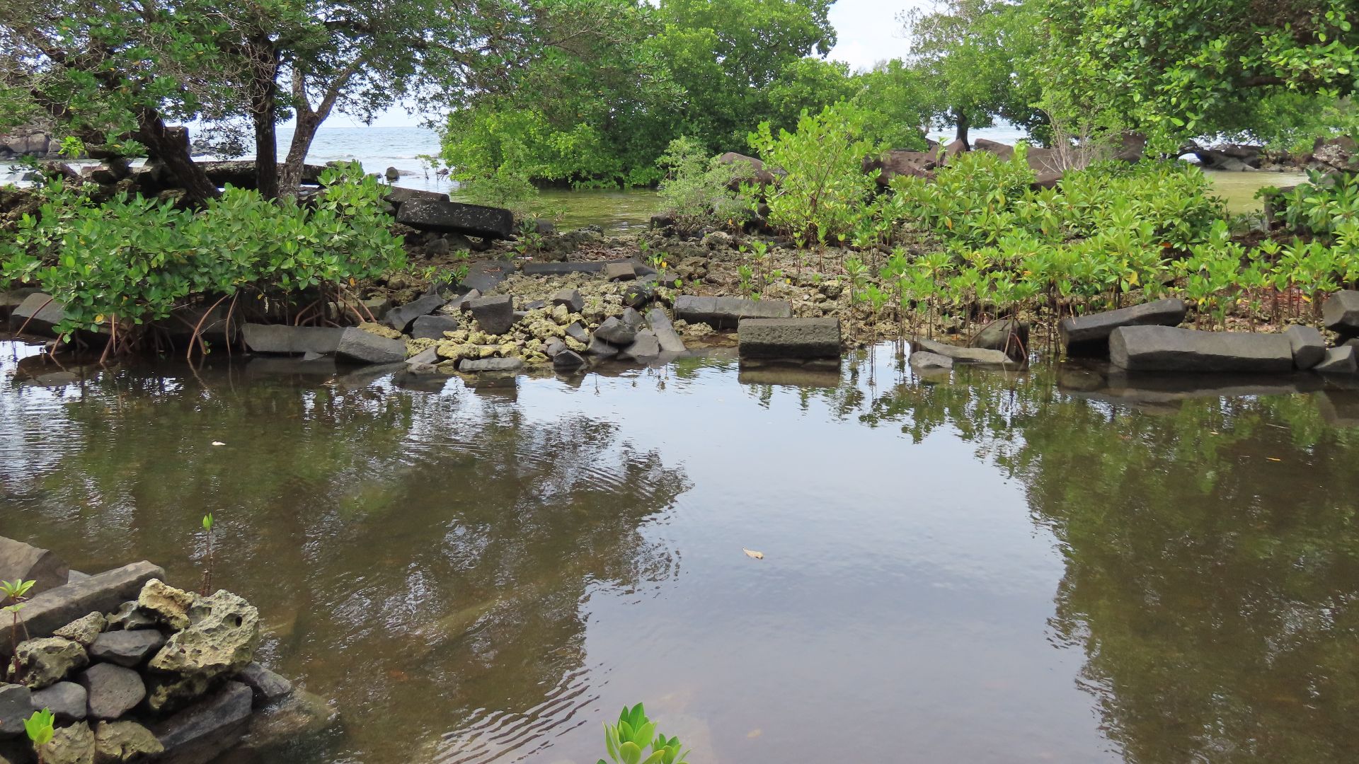 File:Nan Madol ruins by the ocean 3.jpg