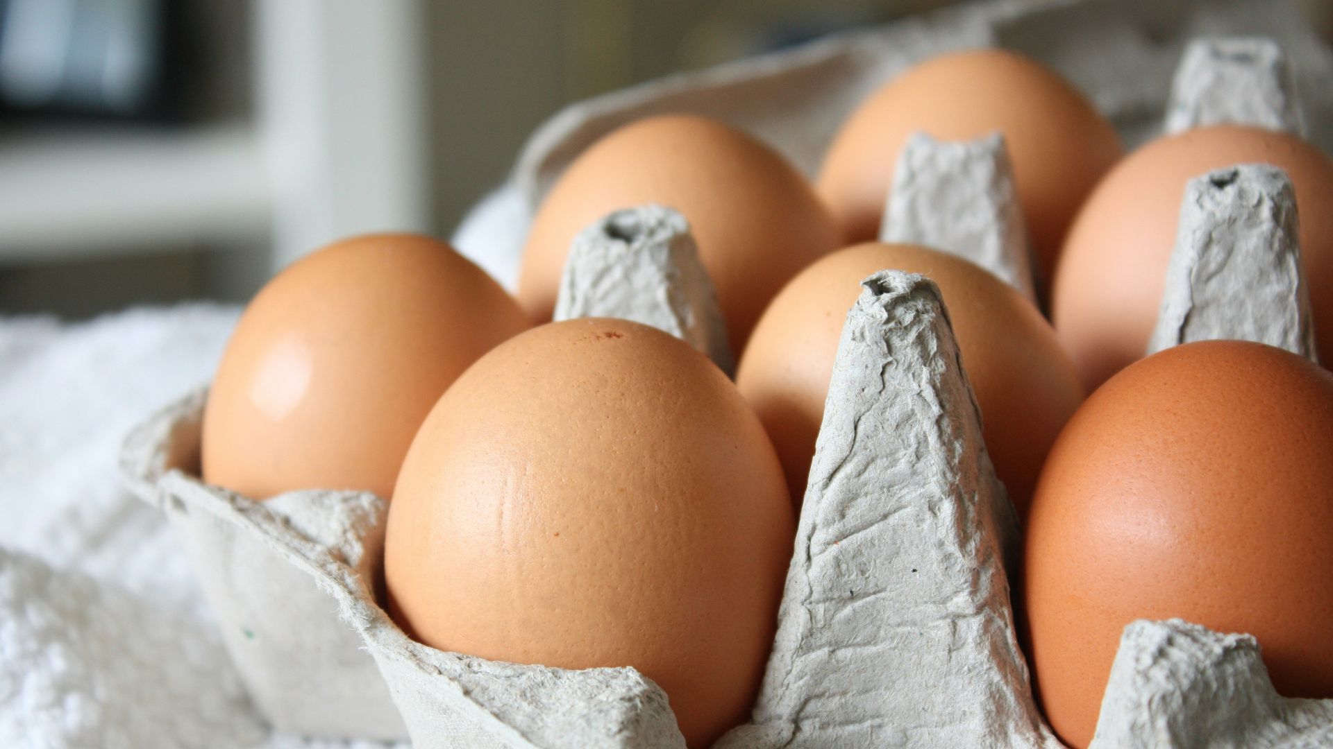 brown egg on white paper towel