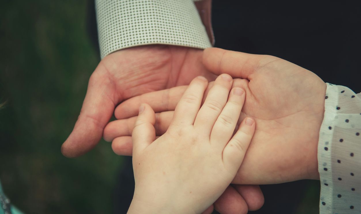 Understand The Nature Of The Inheritance