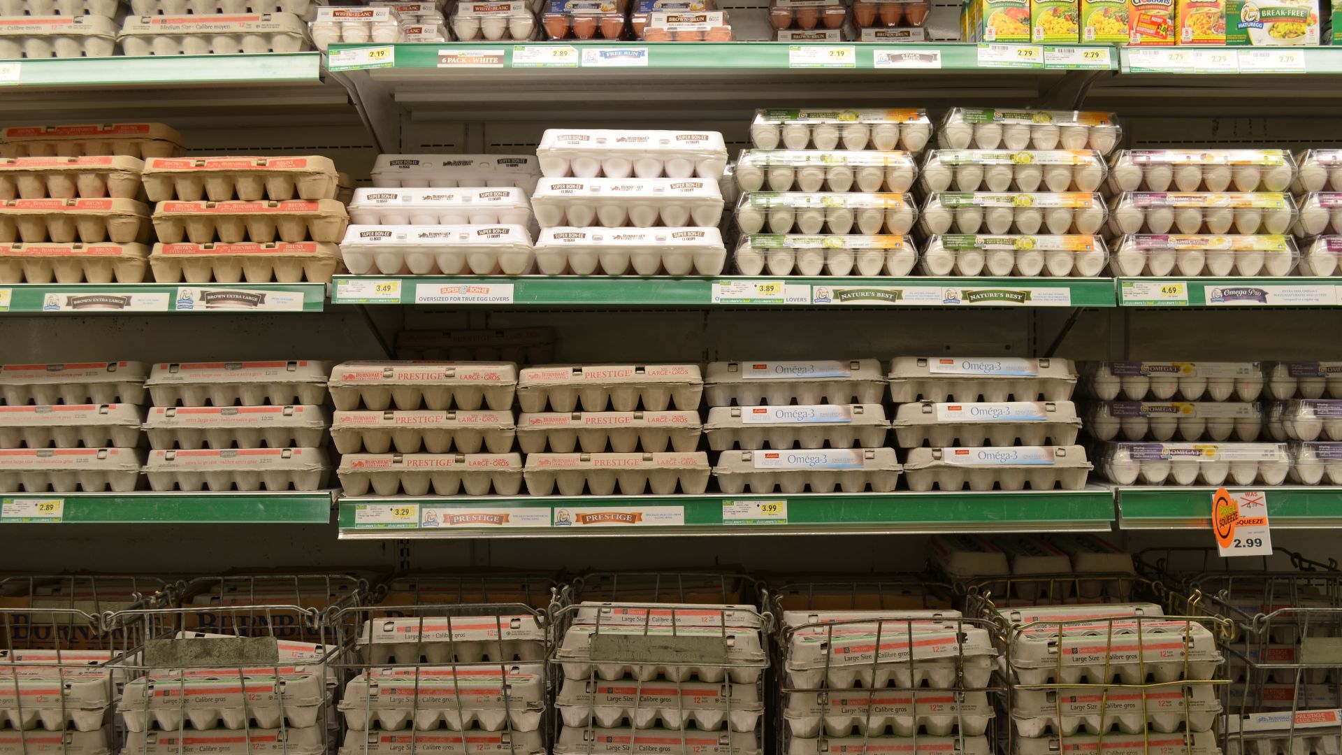 File:GroceryStoreEggs.JPG