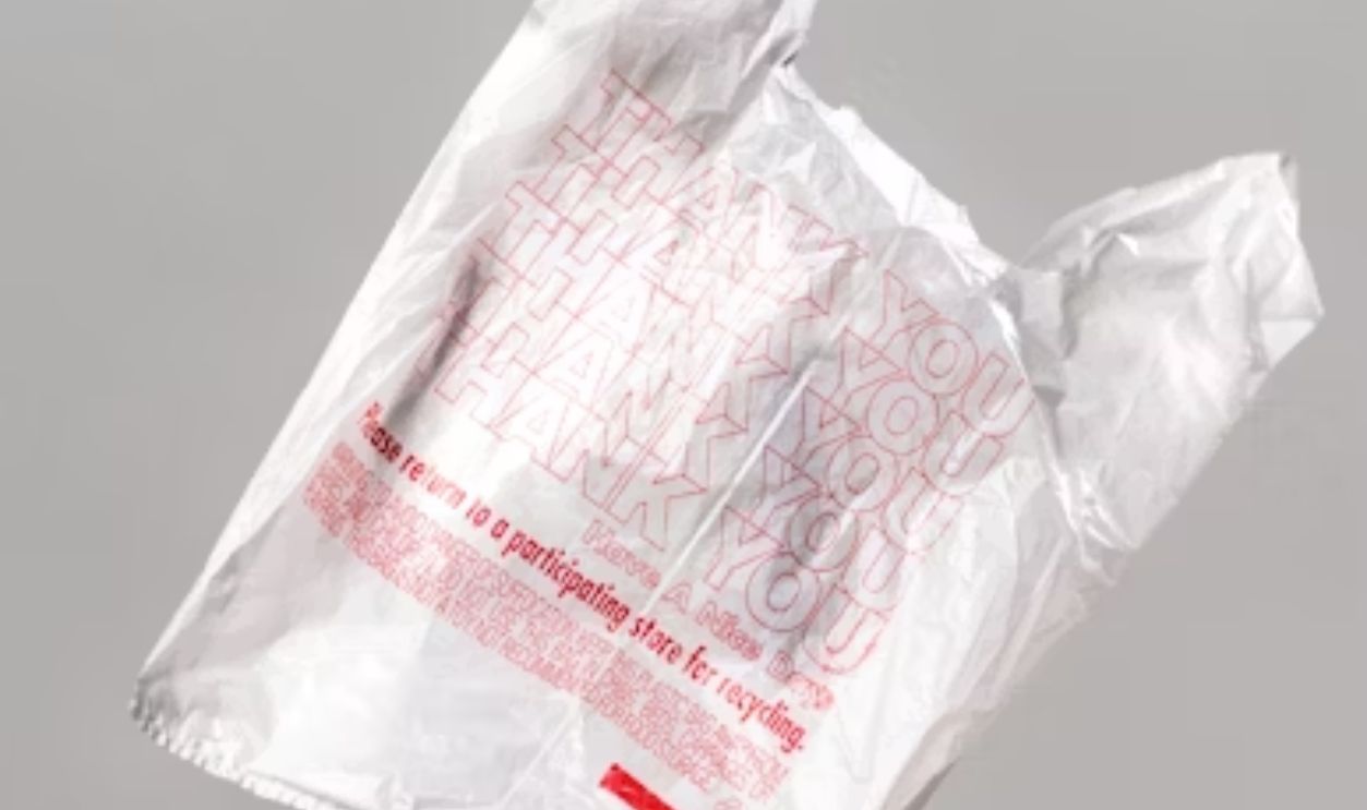 Free Grocery Bags (Paper or Plastic?)