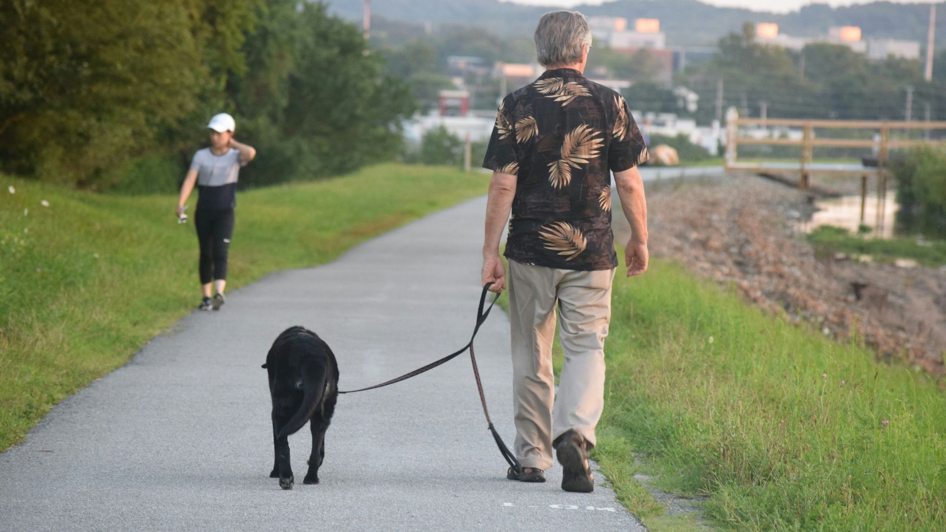 a man and a woman walking a dog on a path