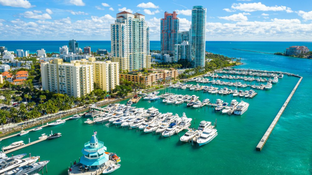 The image showcases a Vibrant urban scene of Miami, Florida